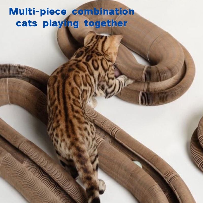 PetStory™ Katzenspielzeug